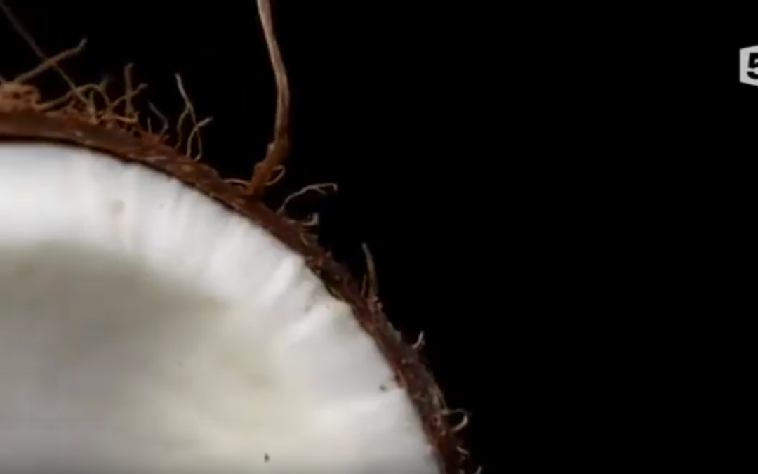 Noix de coco, le fruit du paradis – France 5