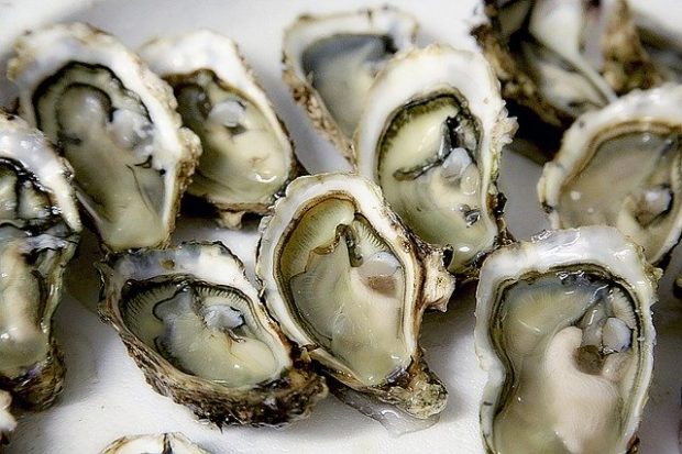 huitres triploides, ma vie au naturel, danger santé, danger alimentation, danger ogm, alimentation ogm, sans GLO, sans gluten, sans lait, sans oeufs